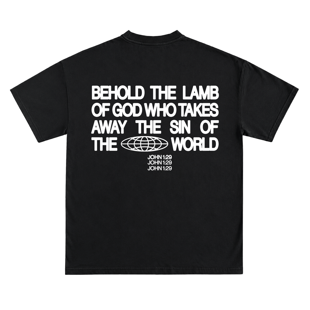 JOHN 1:29
