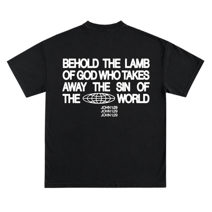 JOHN 1:29