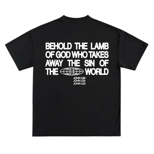 JOHN 1:29
